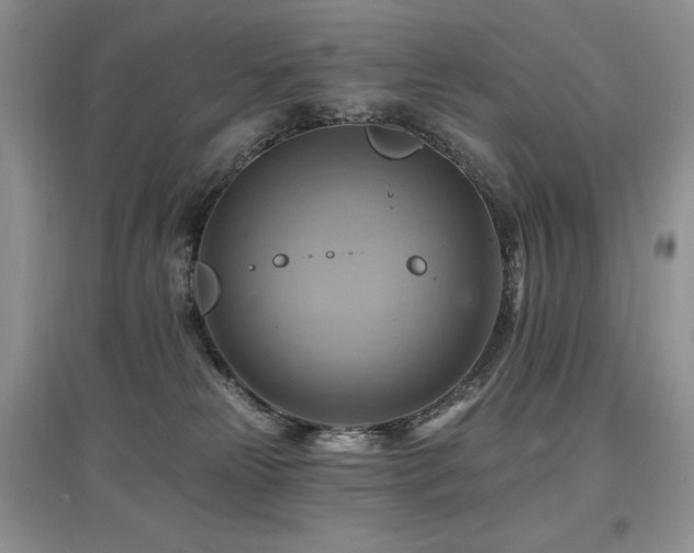 X0000097830181200803141153
