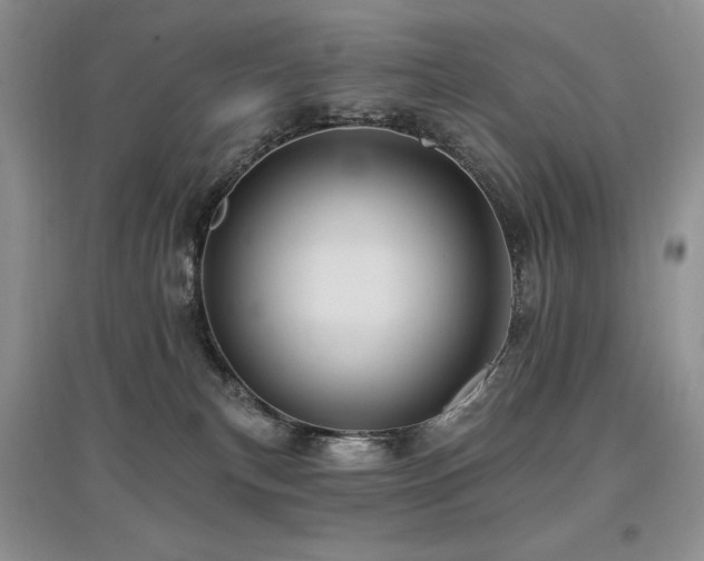 X0000097830183200803141153
