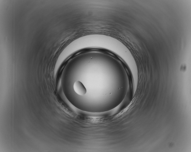 X0000097830184200803141153