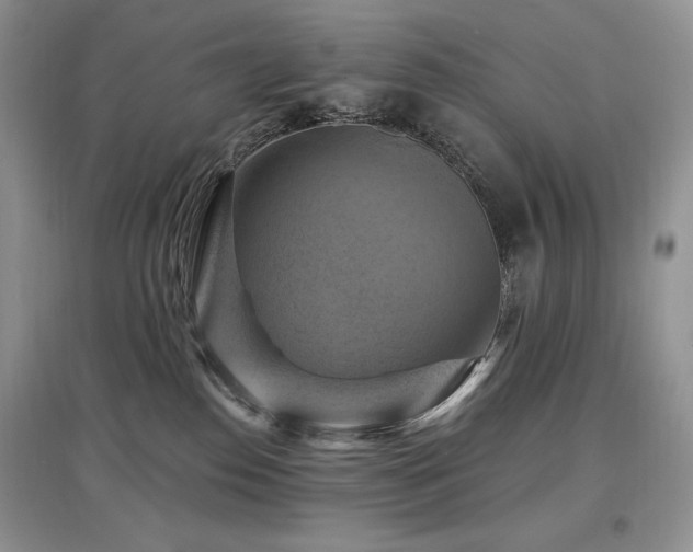 X0000097830186200803141153
