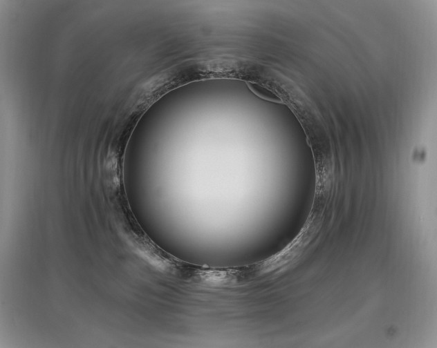 X0000097830187200803141153