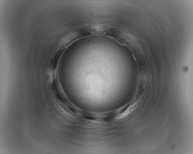 X0000097830188200803141153