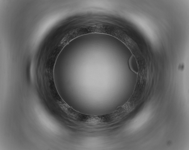 X0000097830189200803141153