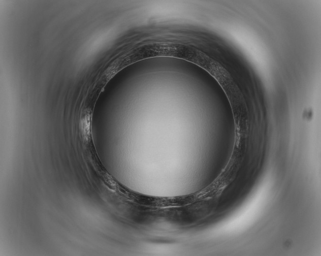 X0000097830190200803141153