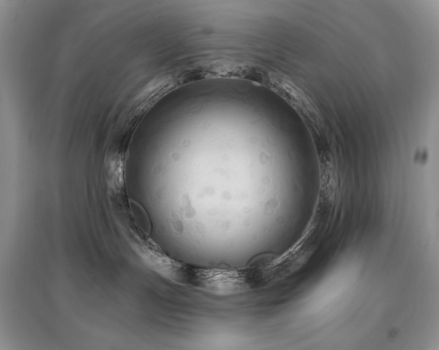 X0000097830191200803141153