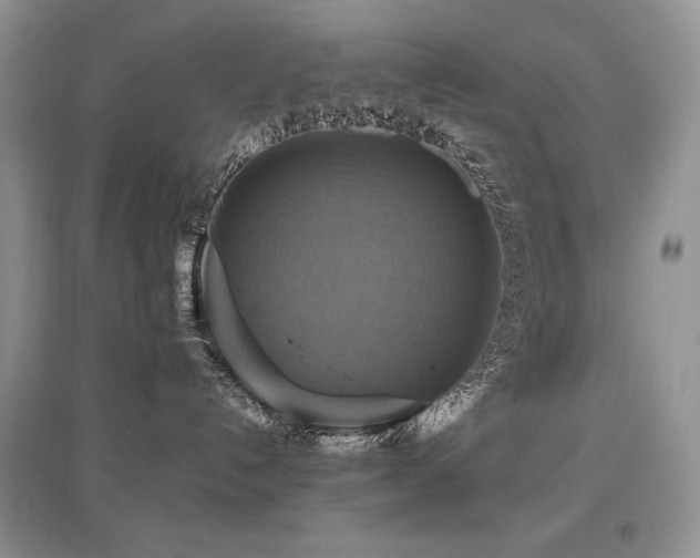 X0000097830192200803141153