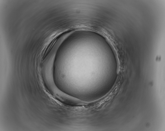 X0000097830193200803141153