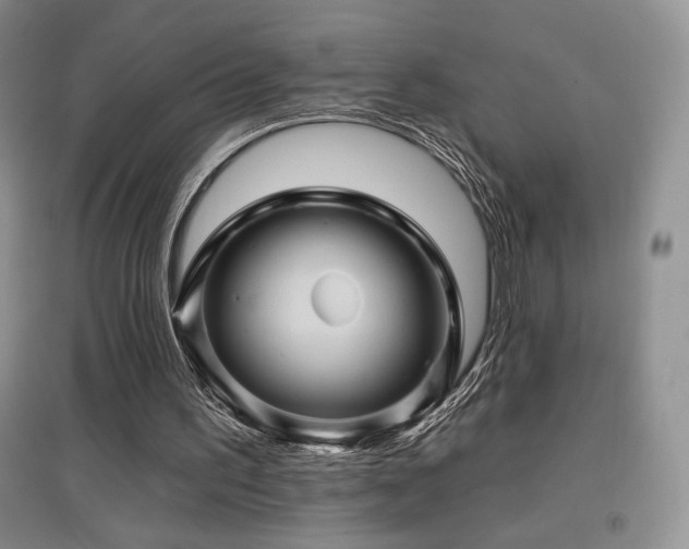 X0000097830195200803141153