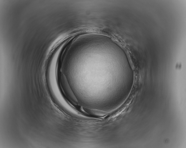 X0000097830197200803141153