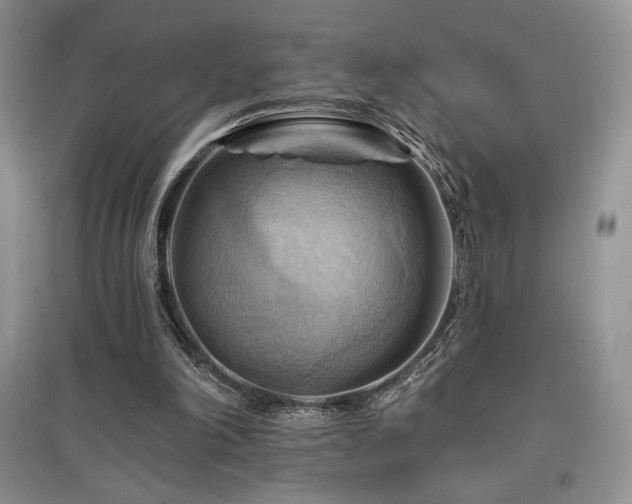 X0000097830198200803141153