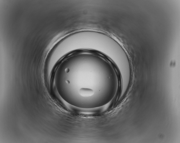 X0000097830199200803141153