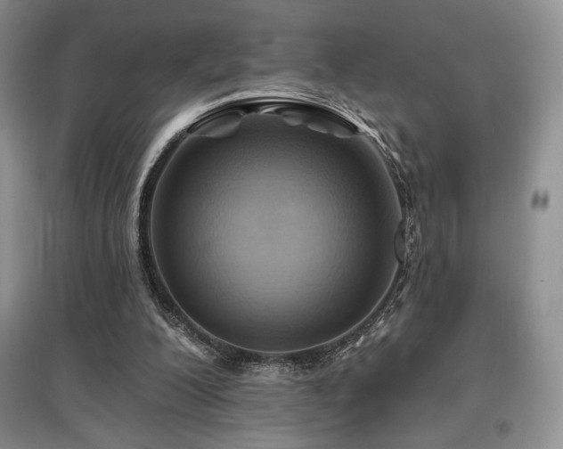 X0000097830200200803141153
