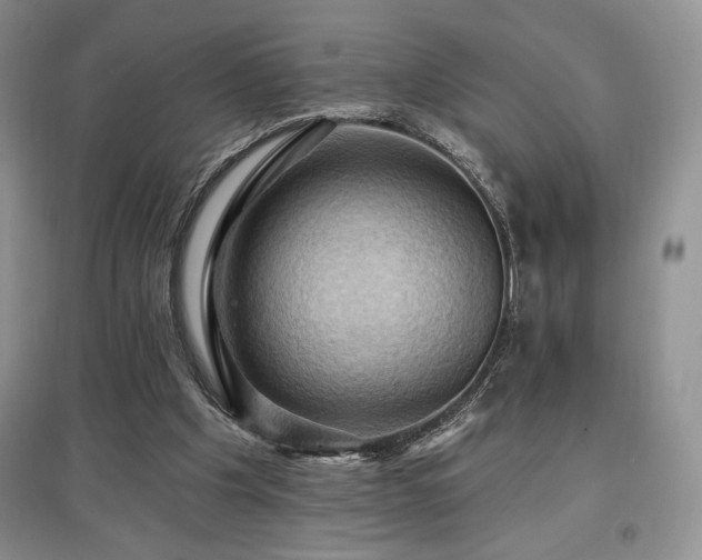 X0000097830201200803141153
