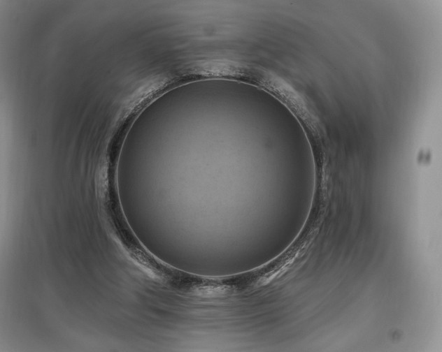 X0000097830202200803141152