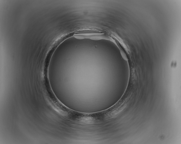 X0000097830203200803141152