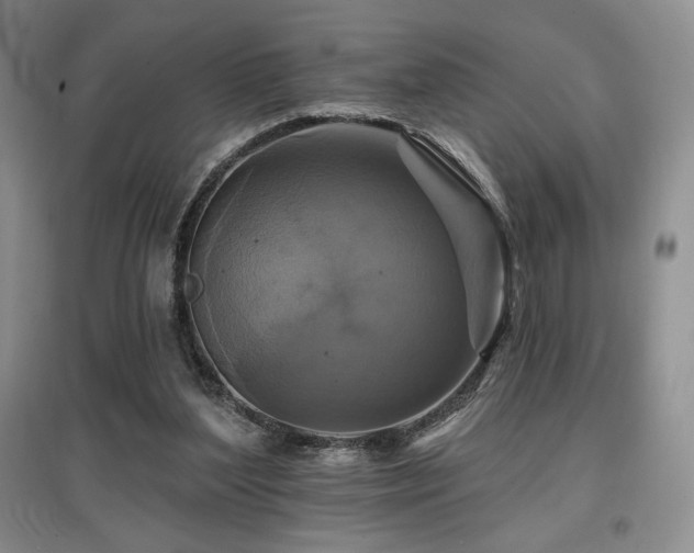 X0000097830204200803141152