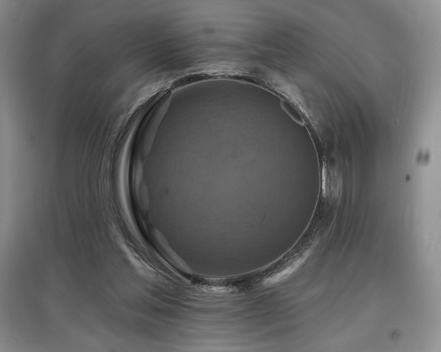 X0000097830205200803141152