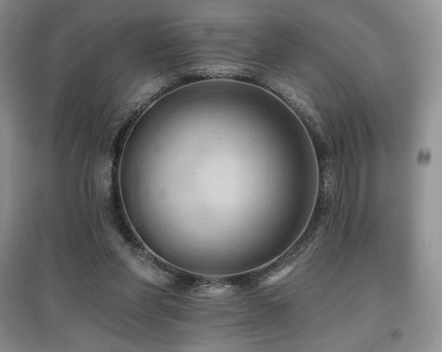 X0000097830206200803141152
