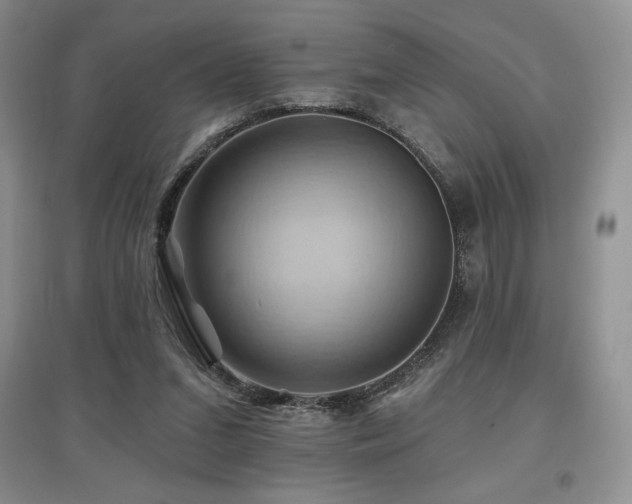 X0000097830207200803141152