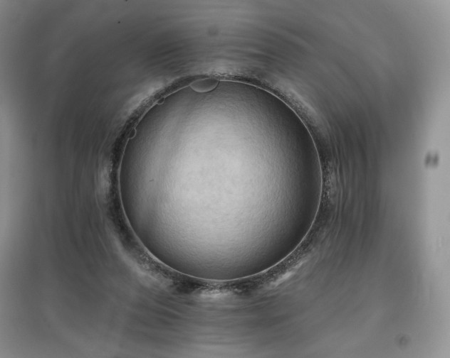 X0000097830208200803141152
