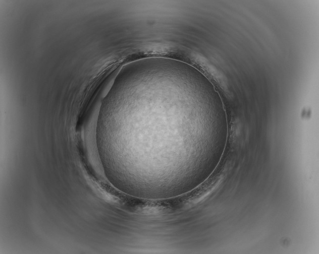 X0000097830209200803141152