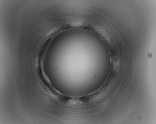 X0000097830211200803141152
