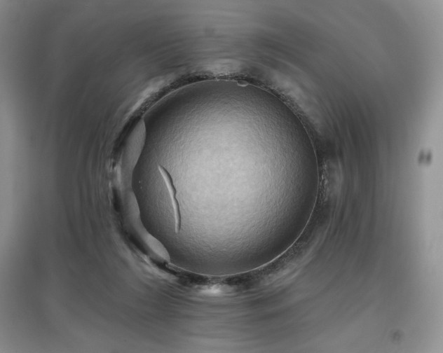 X0000097830212200803141152