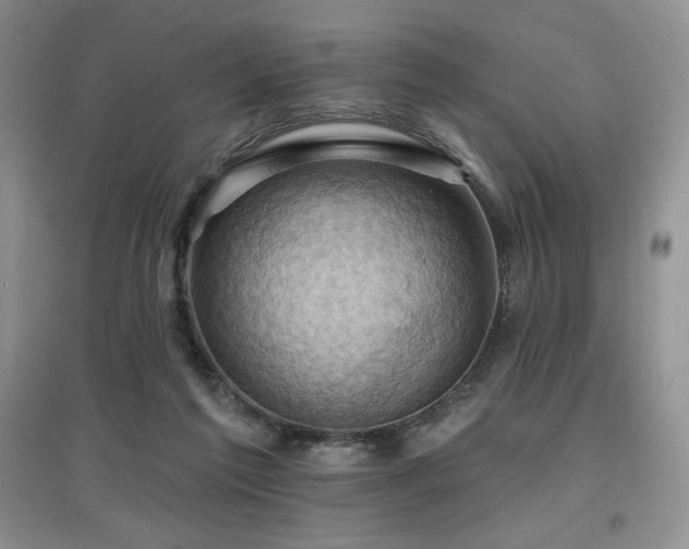 X0000097830213200803141152