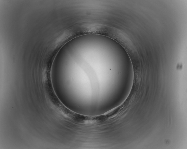 X0000097830216200803141152