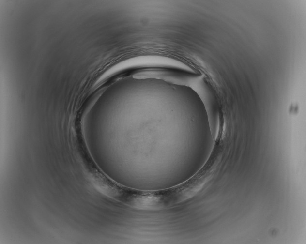 X0000097830217200803141152