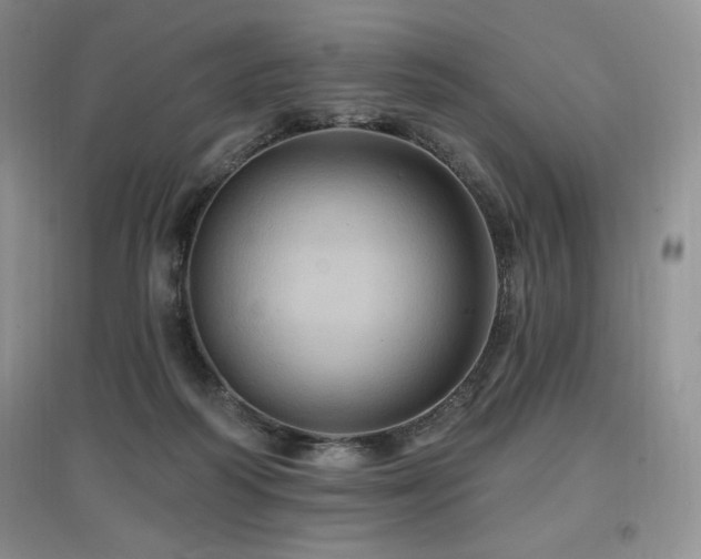 X0000097830218200803141152