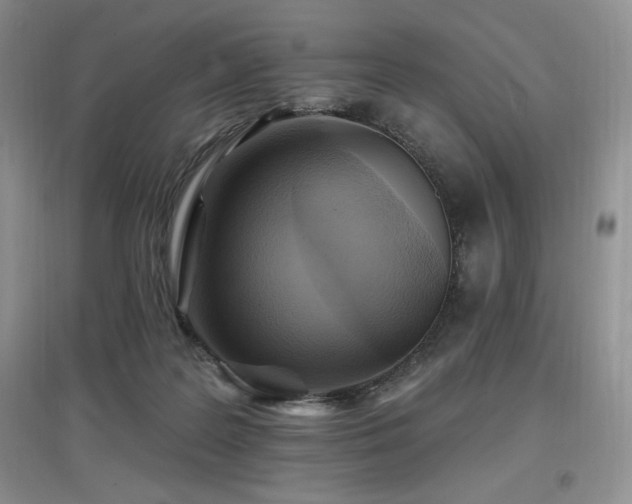 X0000097830219200803141152
