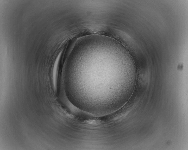X0000097830221200803141152