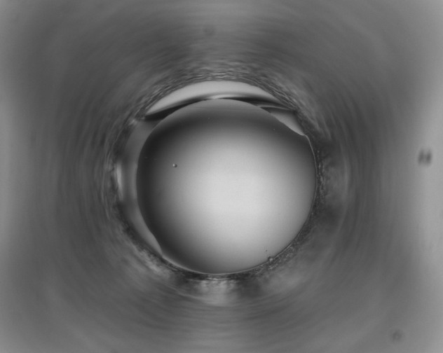 X0000097830225200803141152