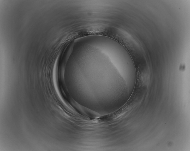 X0000097830227200803141152