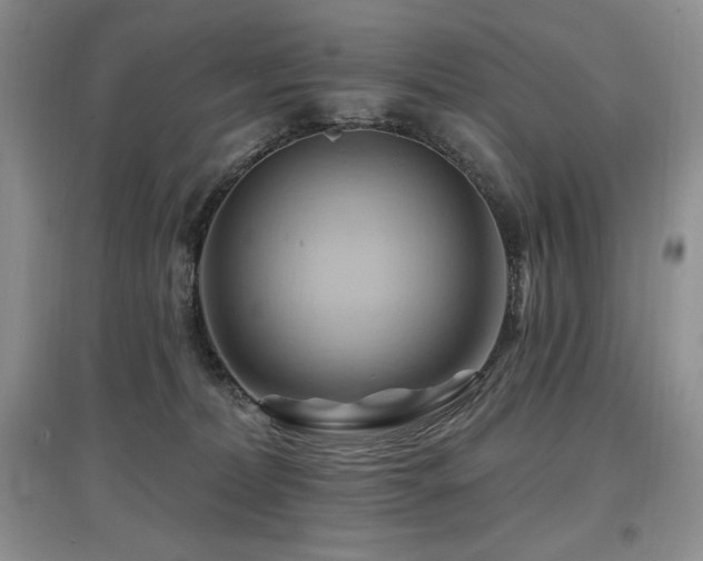 X0000097830228200803141152