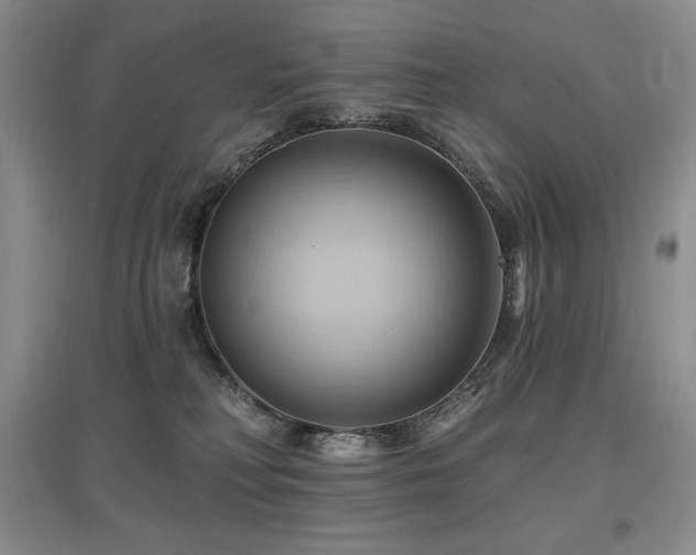 X0000097830230200803141152