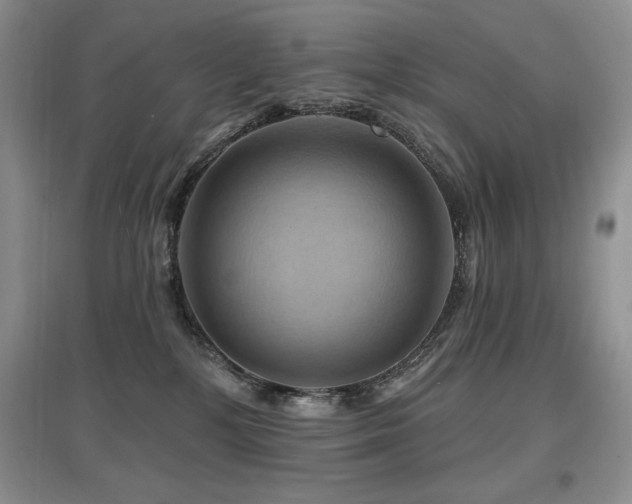X0000097830232200803141152