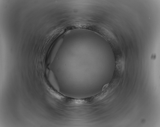 X0000097830233200803141152