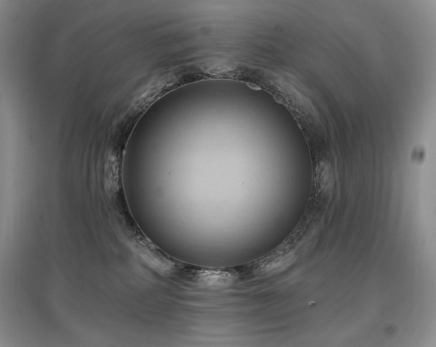 X0000097830234200803141152