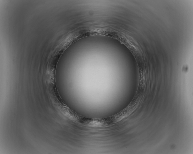 X0000097830236200803141152