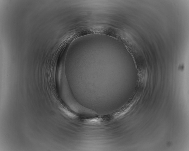 X0000097830237200803141152