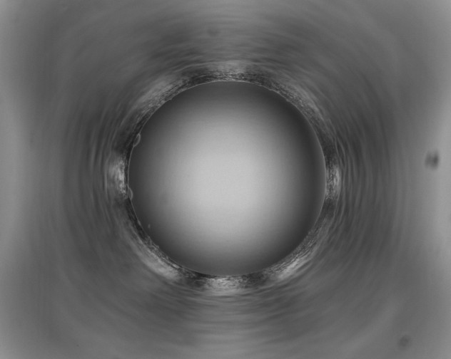 X0000097830238200803141152