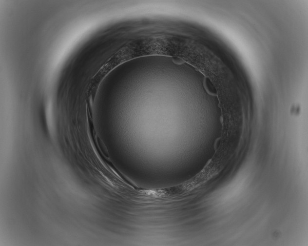 X0000097830239200803141152