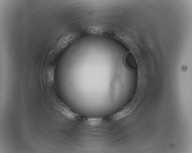 X0000097830240200803141152