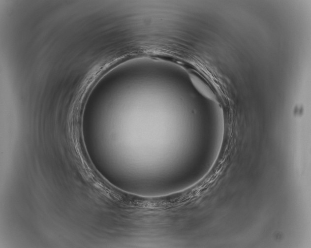 X0000097830241200803141151