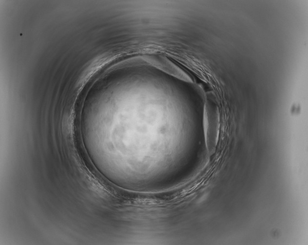 X0000097830242200803141151
