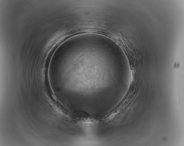 X0000097830243200803141151