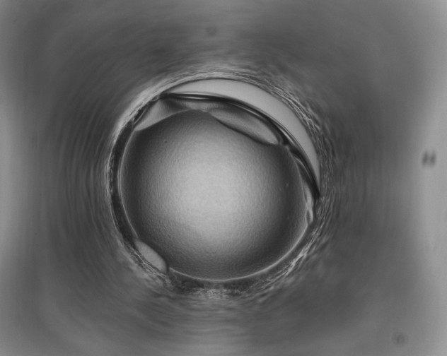 X0000097830244200803141151
