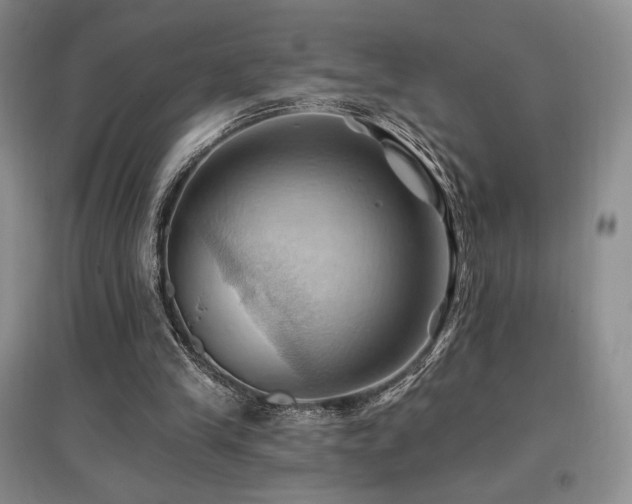 X0000097830245200803141151